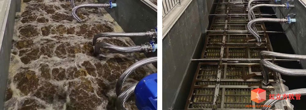 红立方金属软管